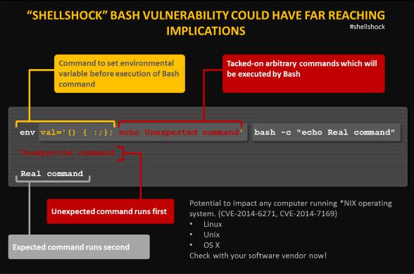 ShellShock